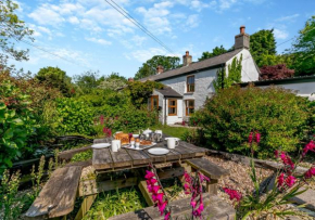 Hollow Tree Cottage